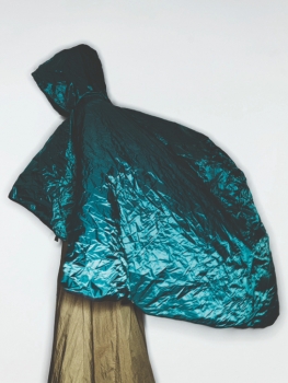 http://julie-nivert.com/files/gimgs/th-39_julie_nivert_gregoire_alexandre_trendlab-web_14.jpg