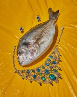 http://julie-nivert.com/files/gimgs/th-60_julie-nivert-raphael-lugassy-Please24_Bijoux-4.jpg