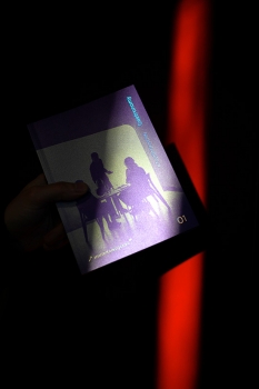 http://julie-nivert.com/files/gimgs/th-68_immersive_paris_web_04_chameleonne.jpg